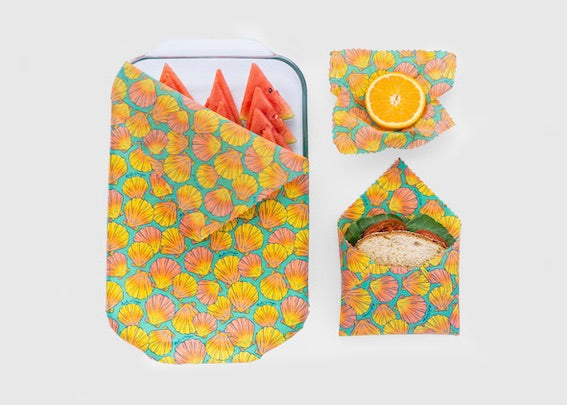 Beeswax Wrap Bulk Roll - Shells Print - The Peony Haus