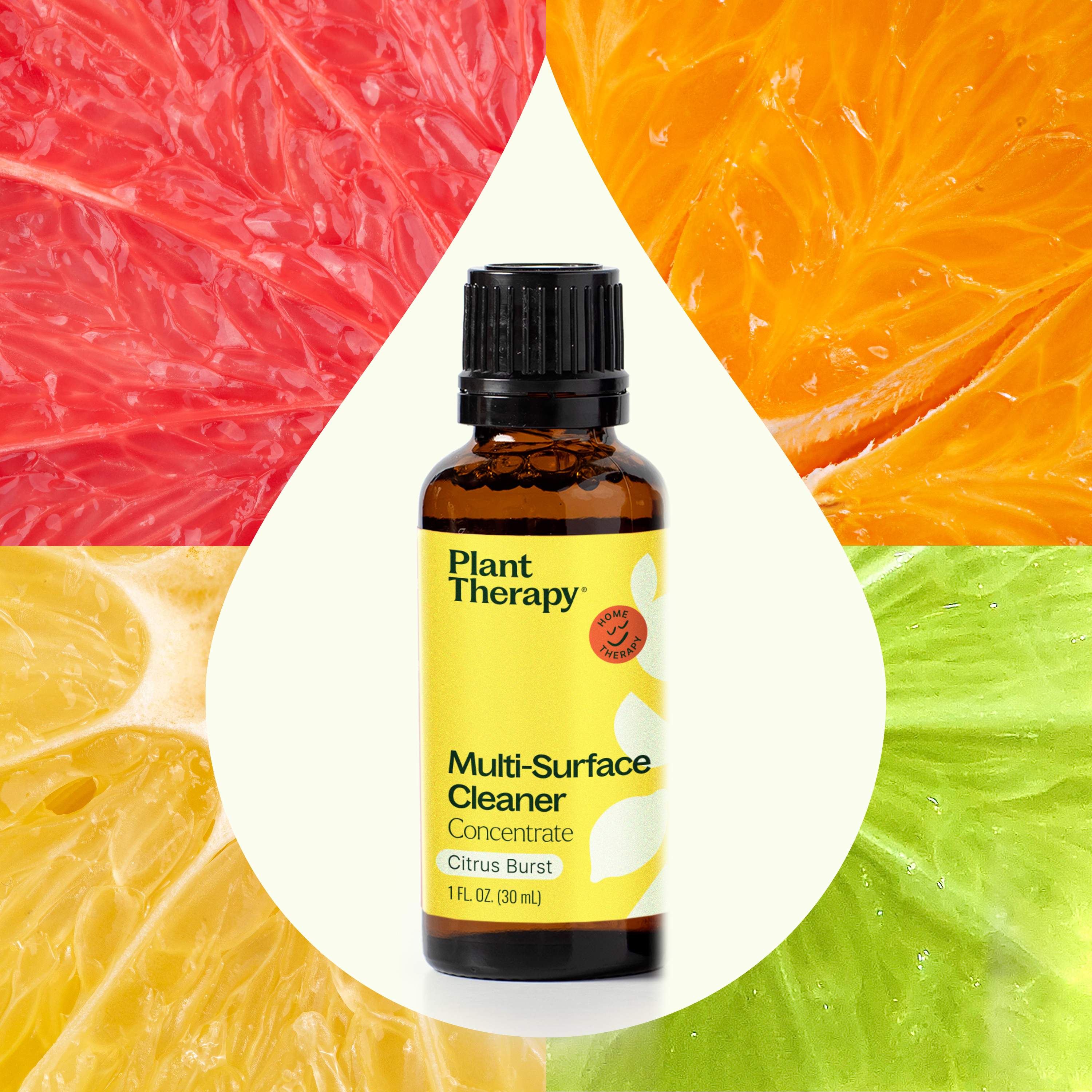 Citrus Burst Multi-Surface Cleaner 2-Pack - The Peony Haus