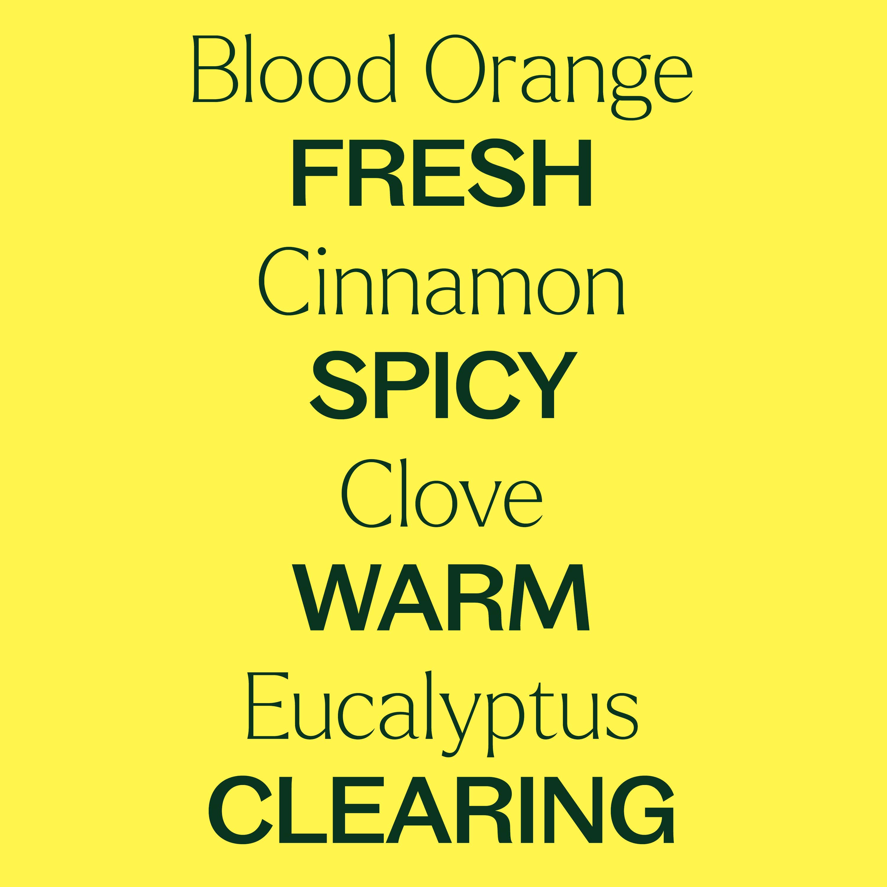 Germ Fighter Carpet Refresher - The Peony Haus