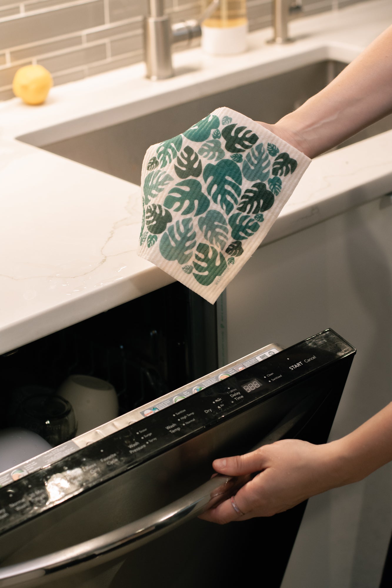 WASHCLOUD® - Mystery Pattern - No Tox Life® - The Peony Haus