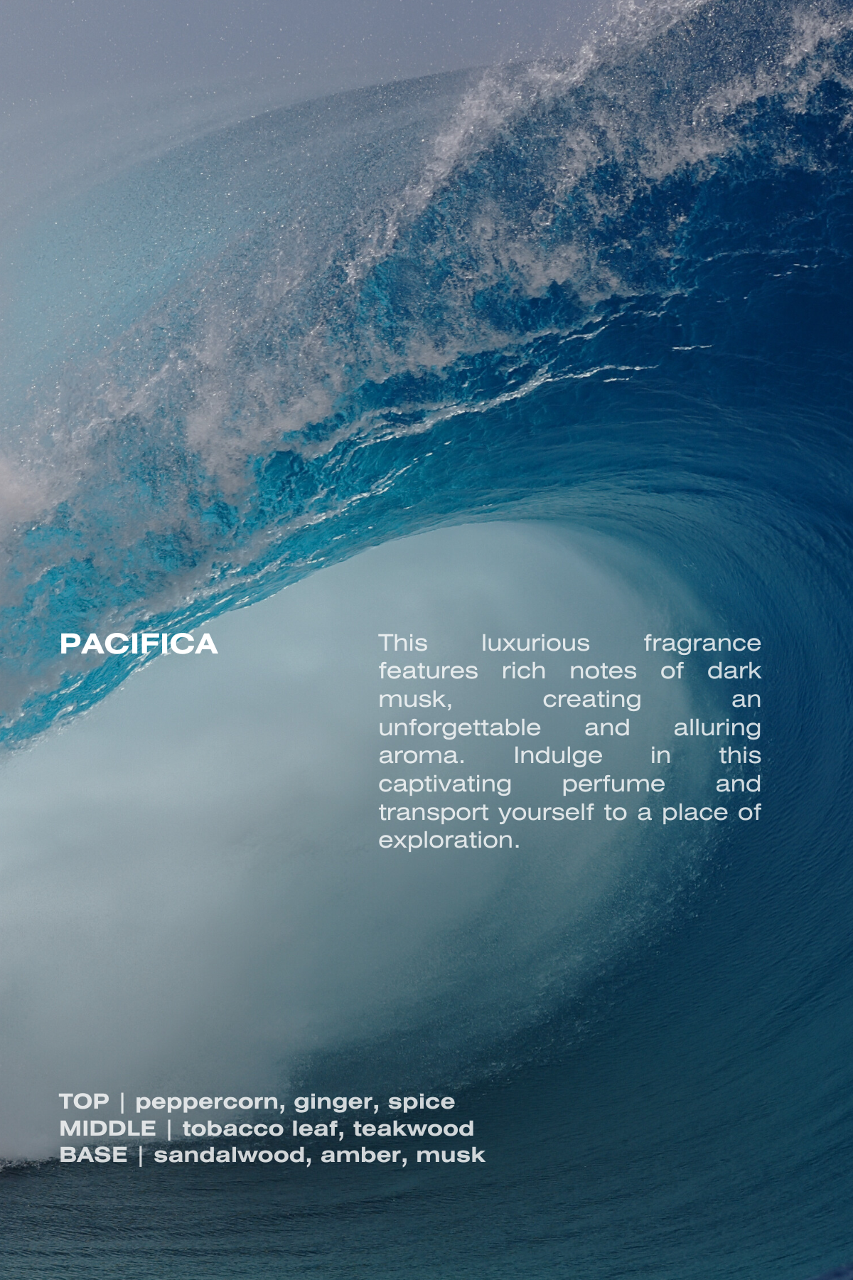 Pacifica Eau De Parfum - The Peony Haus