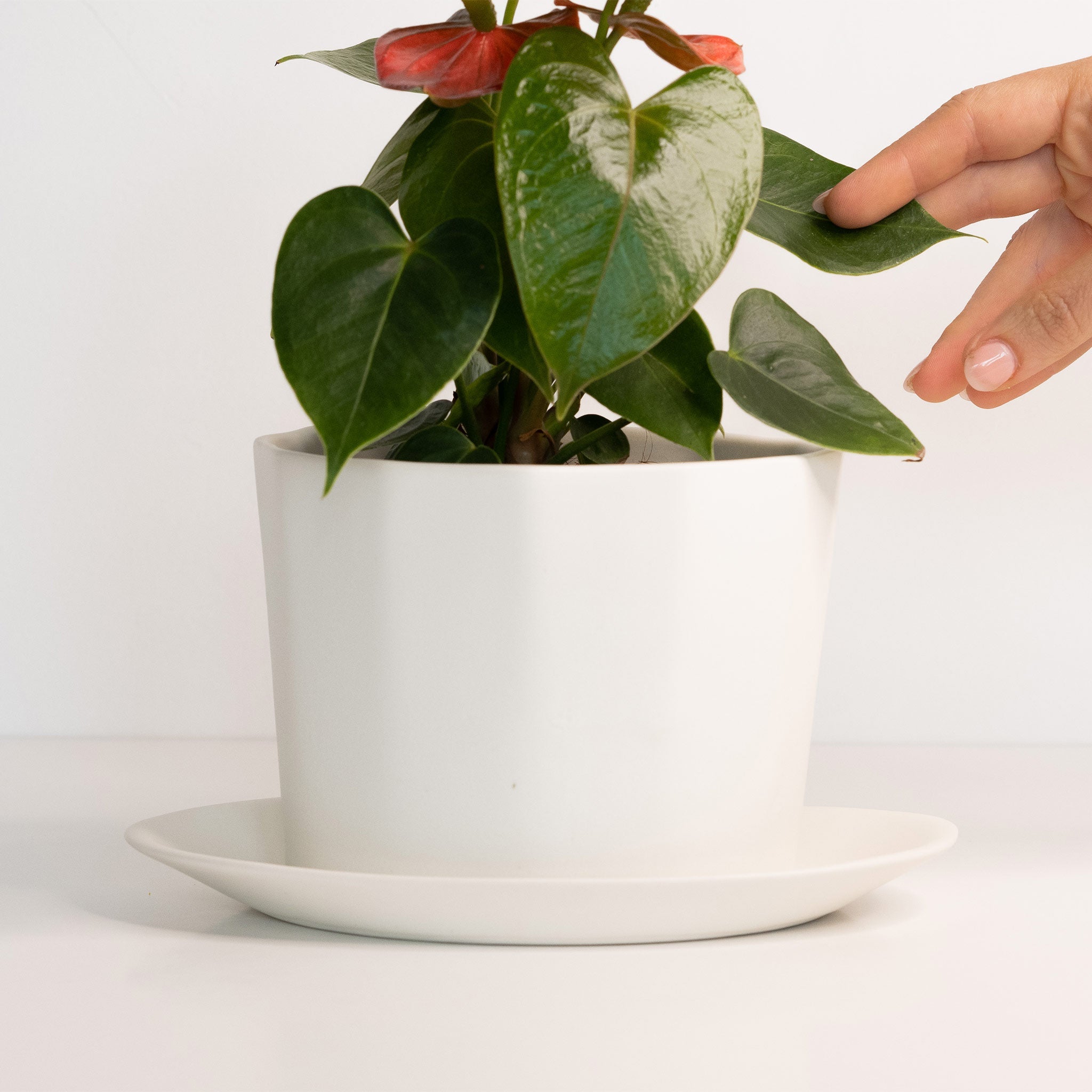 Geometric Oval Handmade Porcelain Planter - The Peony Haus