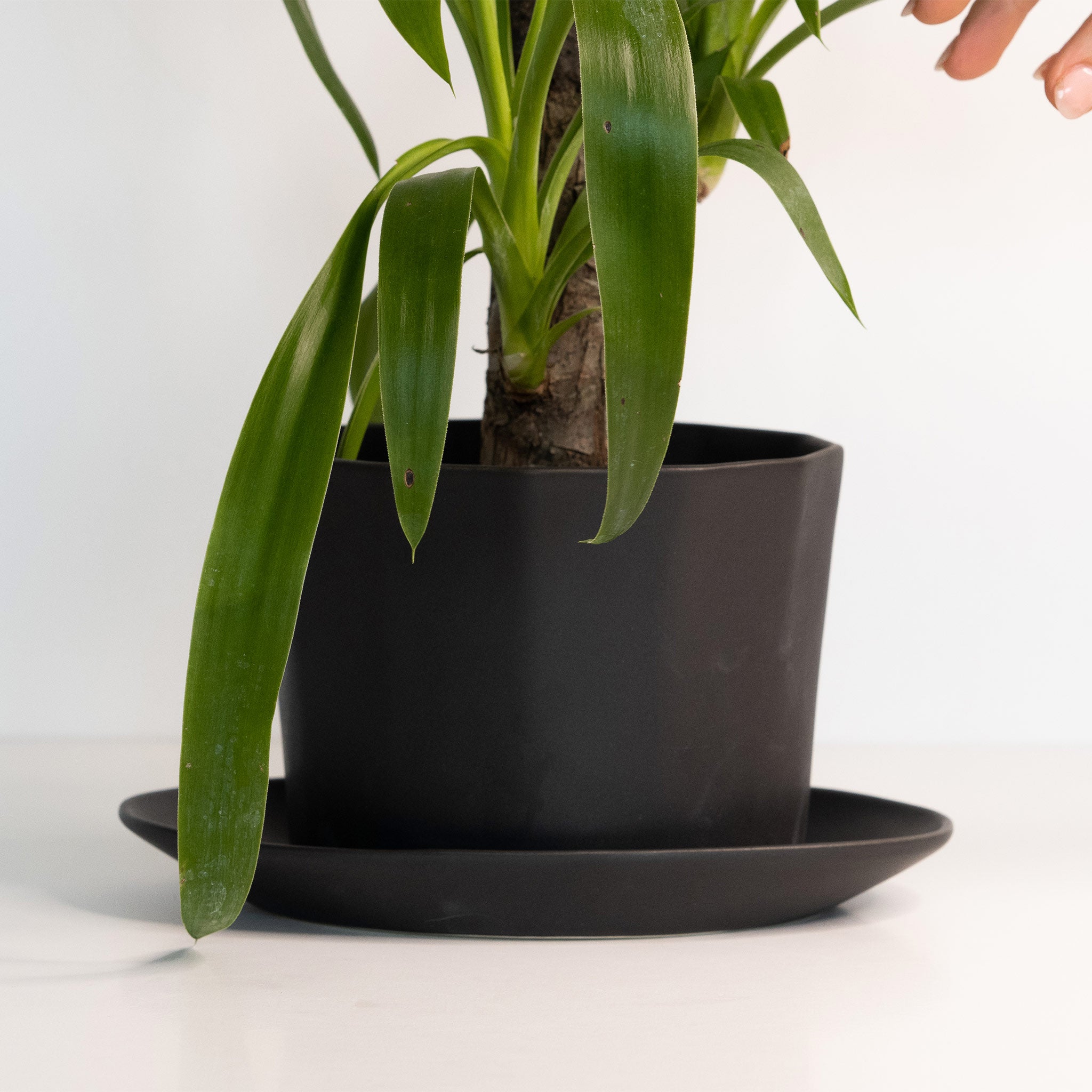Geometric Oval Handmade Porcelain Planter - The Peony Haus