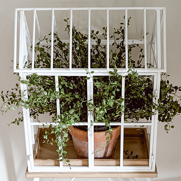 Greenhouse Inspired Outdoor Plant Stand - The Peony Haus