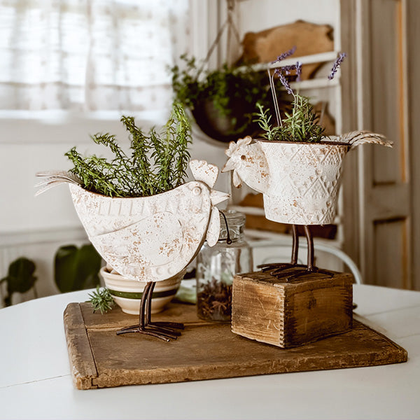 Indoor/Outdoor Distressed Hen Planter, Choose Your Style - The Peony Haus