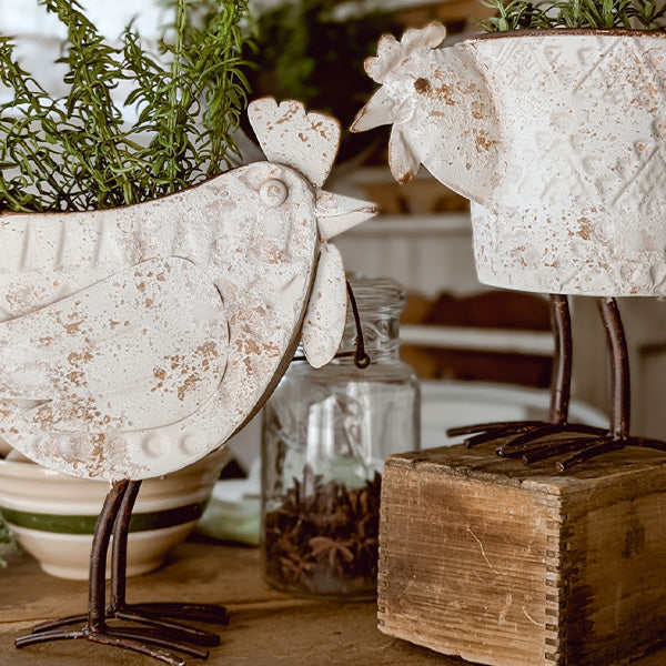 Indoor/Outdoor Distressed Hen Planter, Choose Your Style - The Peony Haus