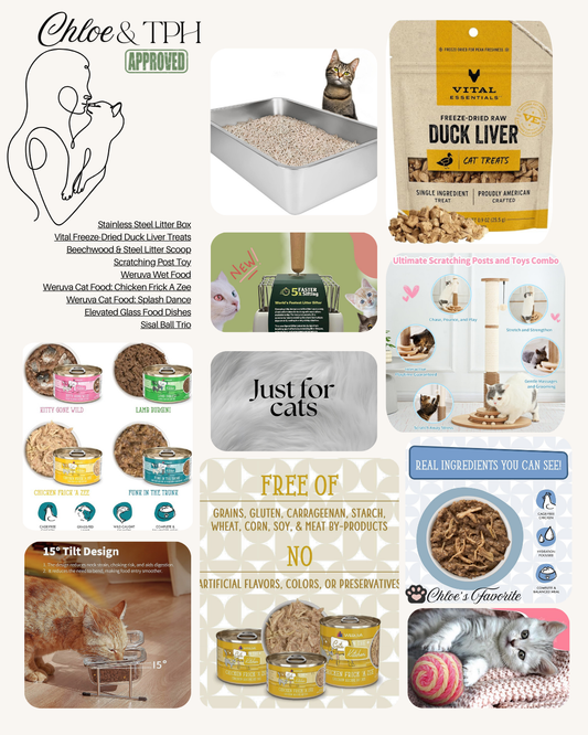 Chloe & TPH Approved Cat Finds on Amazon