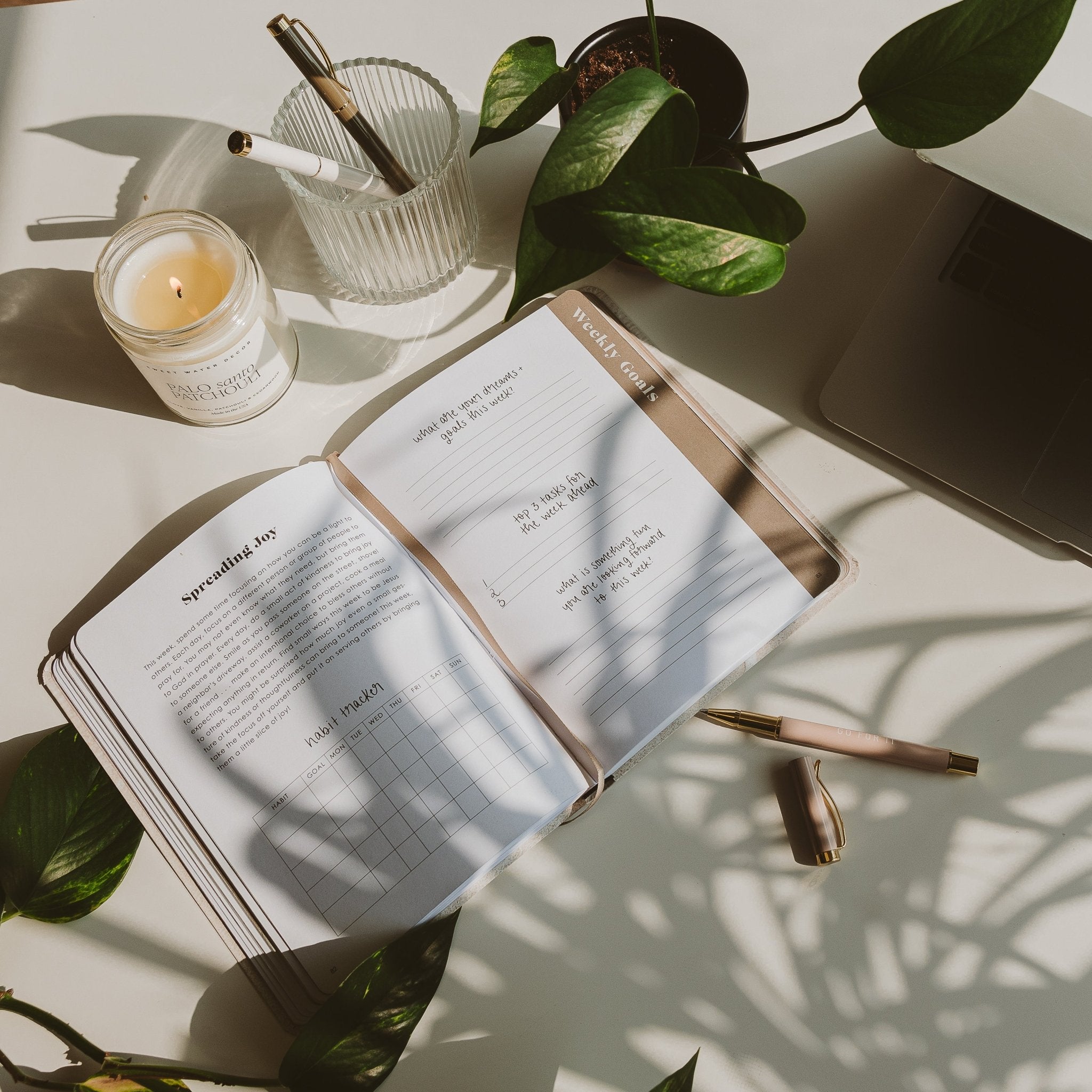 Meditation & Mindfulness