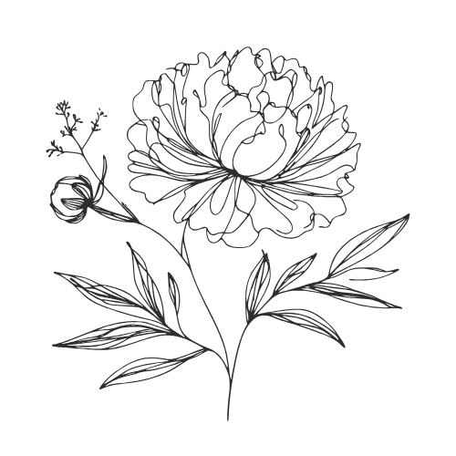 The Peony Collection