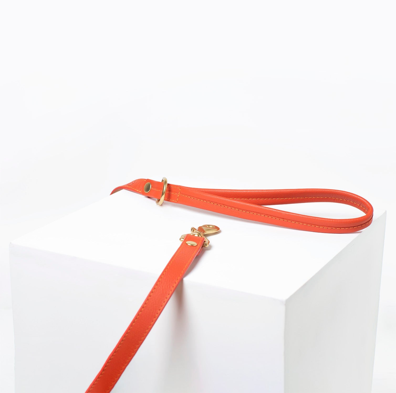 Sunset Leash