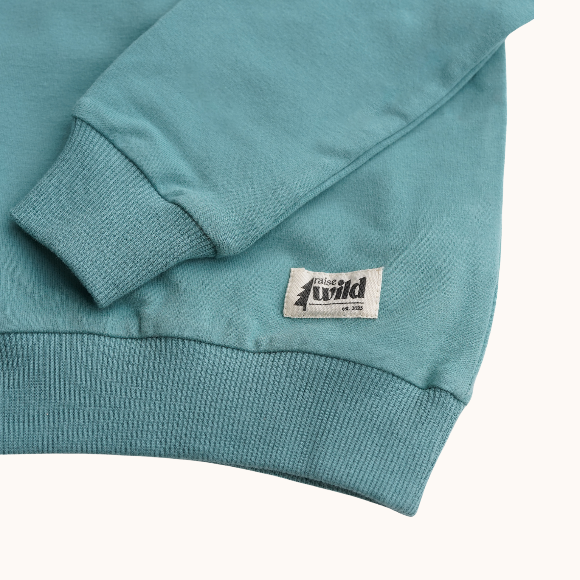 Kid's Organic Pullover in Teal, choose your adventure - 95% Cotton