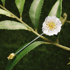 Plum Blossom Pin