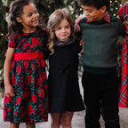 Ruffle Collar Party Dress