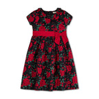 Ruffle Collar Party Dress