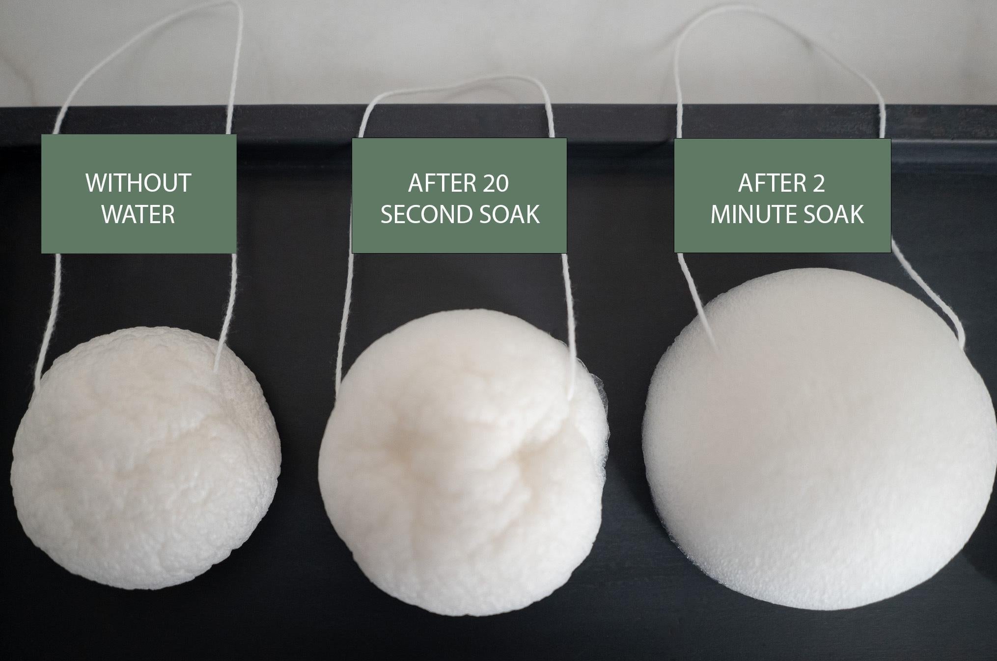 LUNA Facial Sponge - White - No Tox Life®