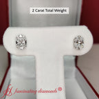 Stud Earring Basket Oval Shaped