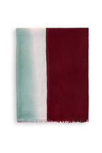 Ombre Double Layered Baby Wool Scarf
