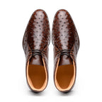 43-594-BRN MARCO Ostrich Quill Chukka Boot, Brown