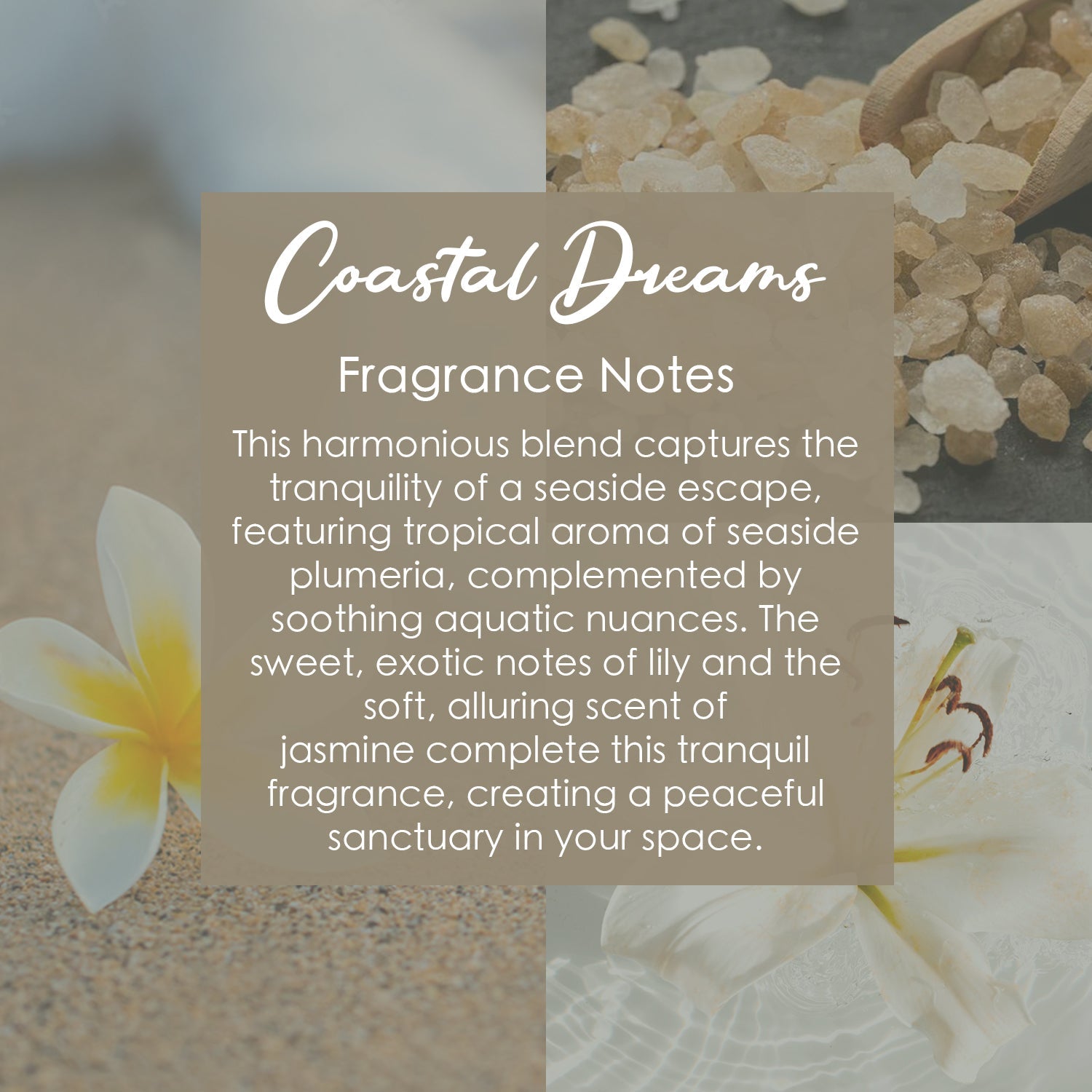 Coastal Dreams Crystal Candle with Garnet, Crystal Quartz, and Rose Quartz | Coconut-Soy Wax Candle, 9oz