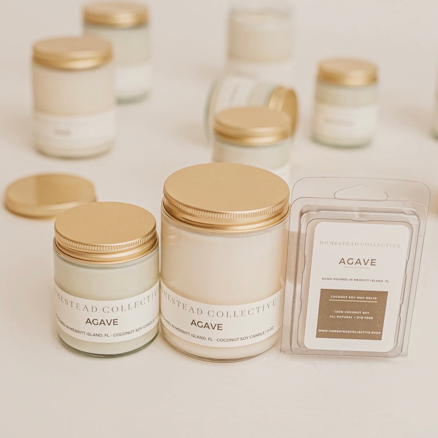 Agave Products
