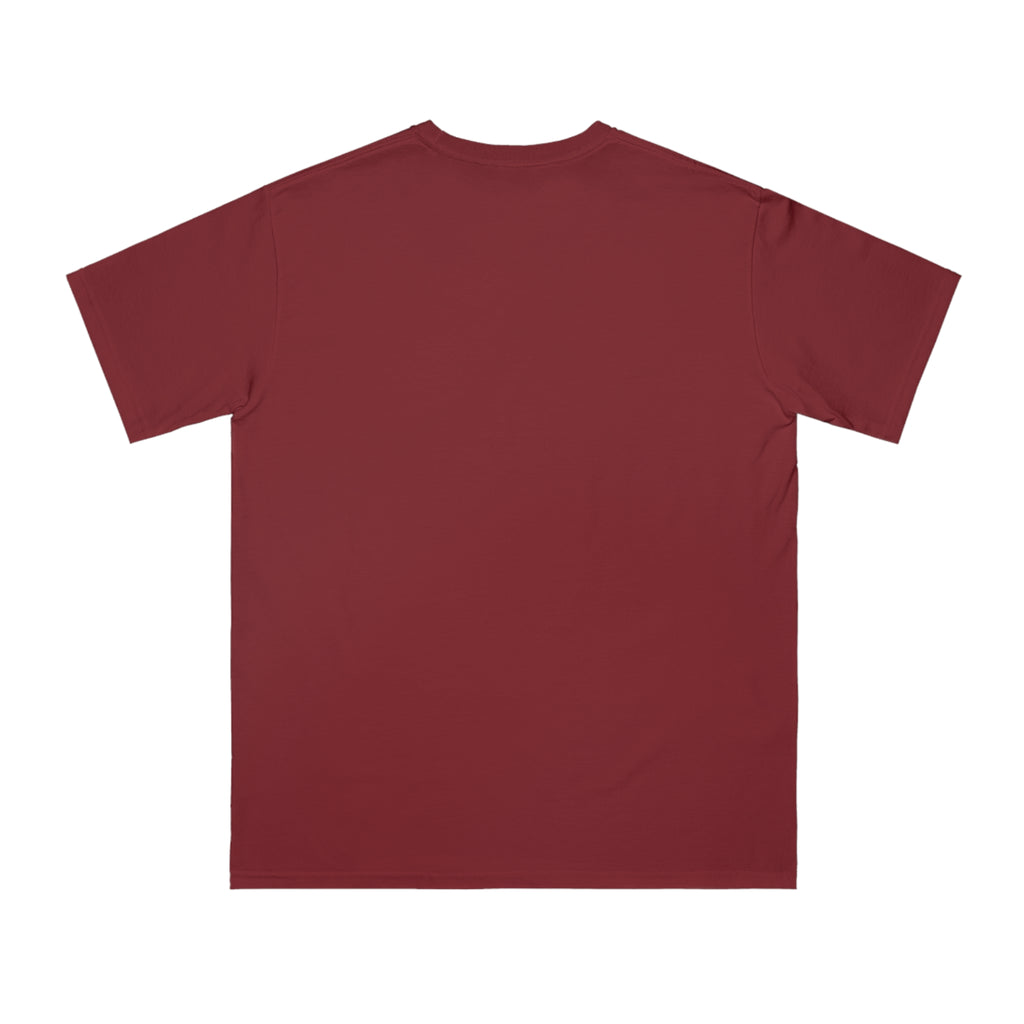 Organic Men's T-Shirt | American Vibes