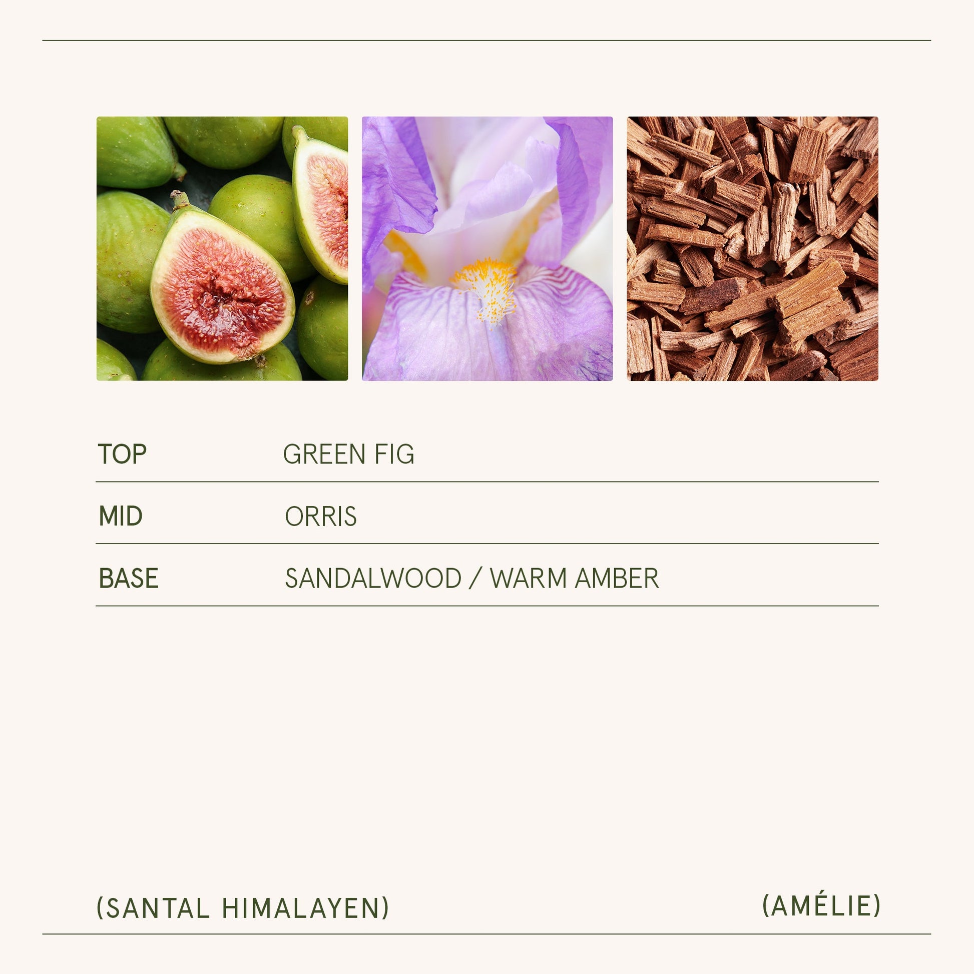 Amélie –  Santal Himalayen Candle