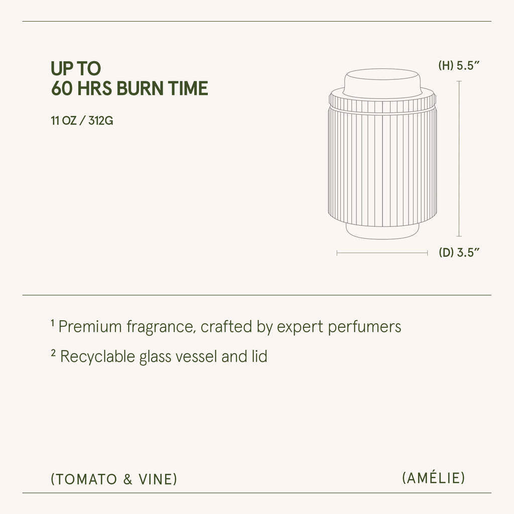 Amélie – Tomato & Vine Candle