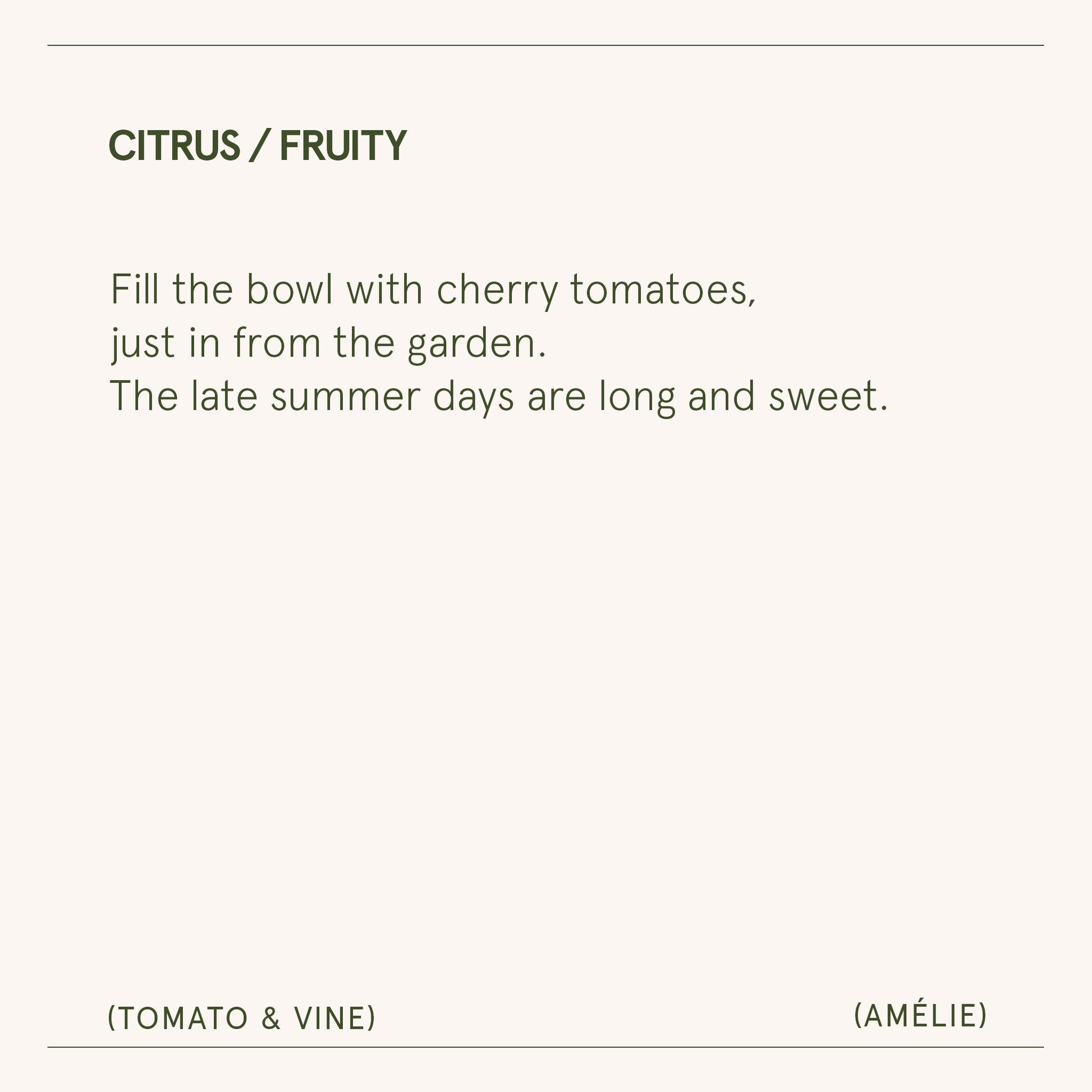 Amélie – Tomato & Vine Candle