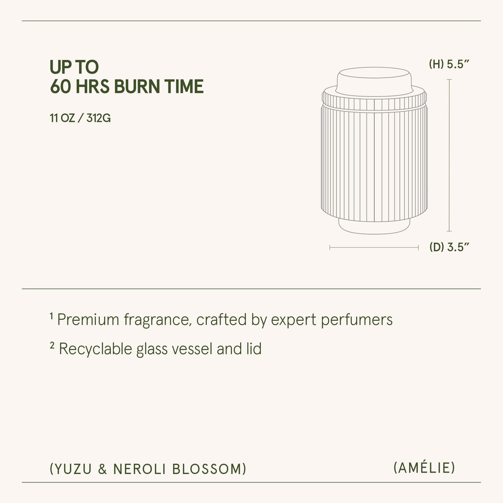 Amélie – Yuzu & Neroli Blossom Candle