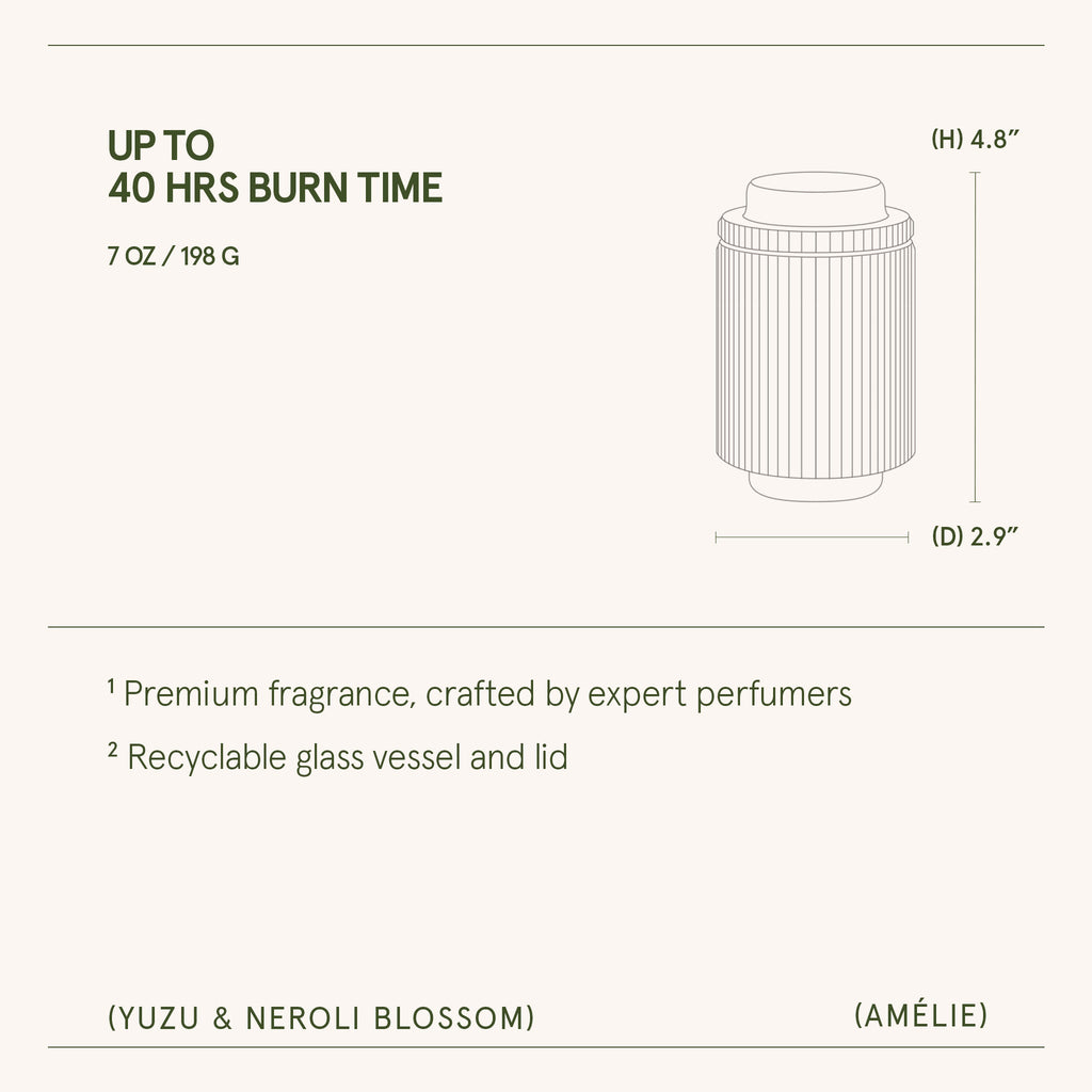 Amélie – Yuzu & Neroli Blossom Candle