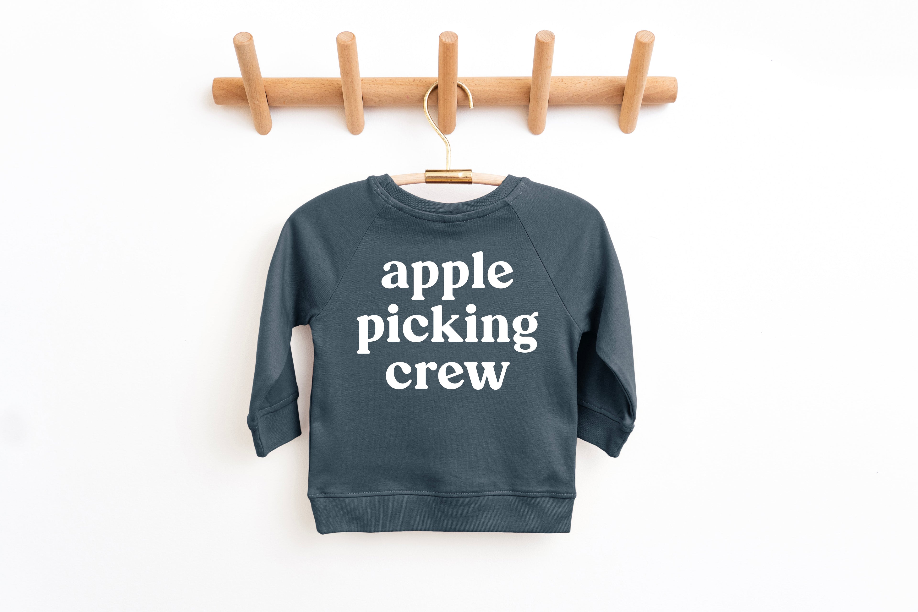 Apple Picking Crew Organic Cotton Baby and Toddler Fall and Winter Pullover