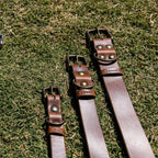 The Dog Collar - The Peony Haus