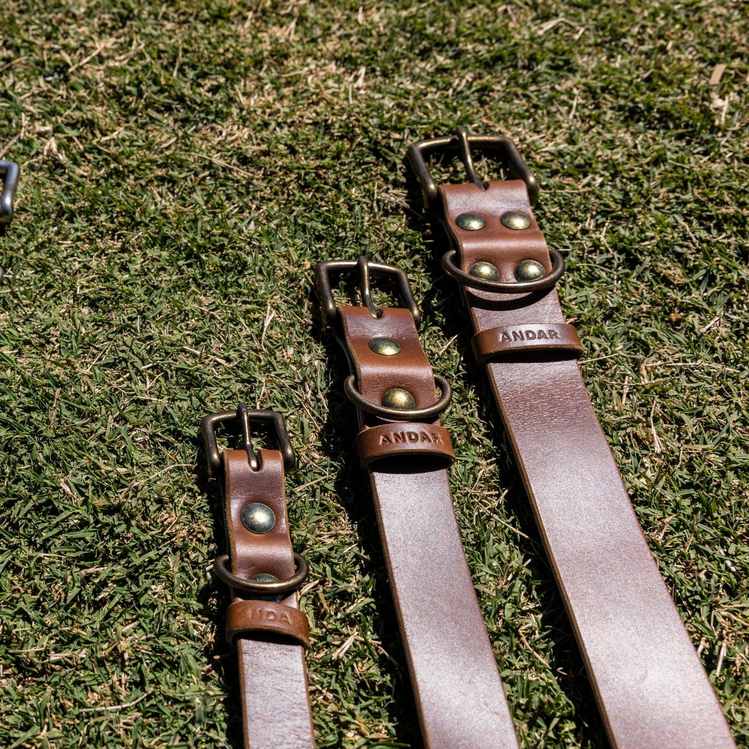 The Dog Collar - The Peony Haus