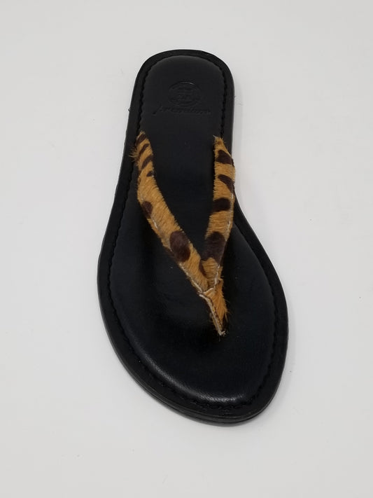 Carmel - The Peony Haus