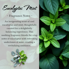 Cool Eucalyptus Mint Crystal-Enhanced Oil Diffuser, Car Air Freshener, 8ml