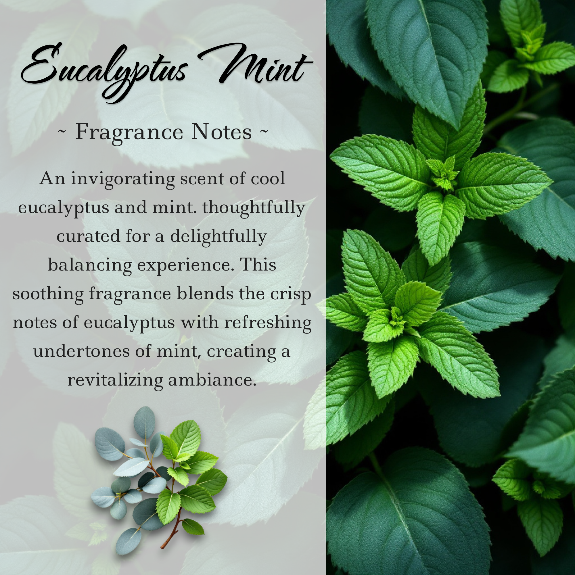 Cool Eucalyptus Mint Crystal-Enhanced Oil Diffuser, Car Air Freshener, 8ml
