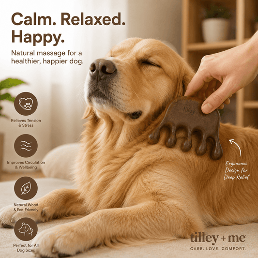 Sandalwood Pet Massage Tool – Relieves Shedding & Boosts Circulation