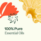 Citrus Burst Multi-Surface Cleaner 2-Pack - The Peony Haus