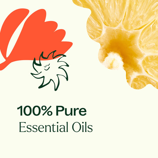 Cleaning Duo: Citrus Burst + Chamomile Sleeve - The Peony Haus