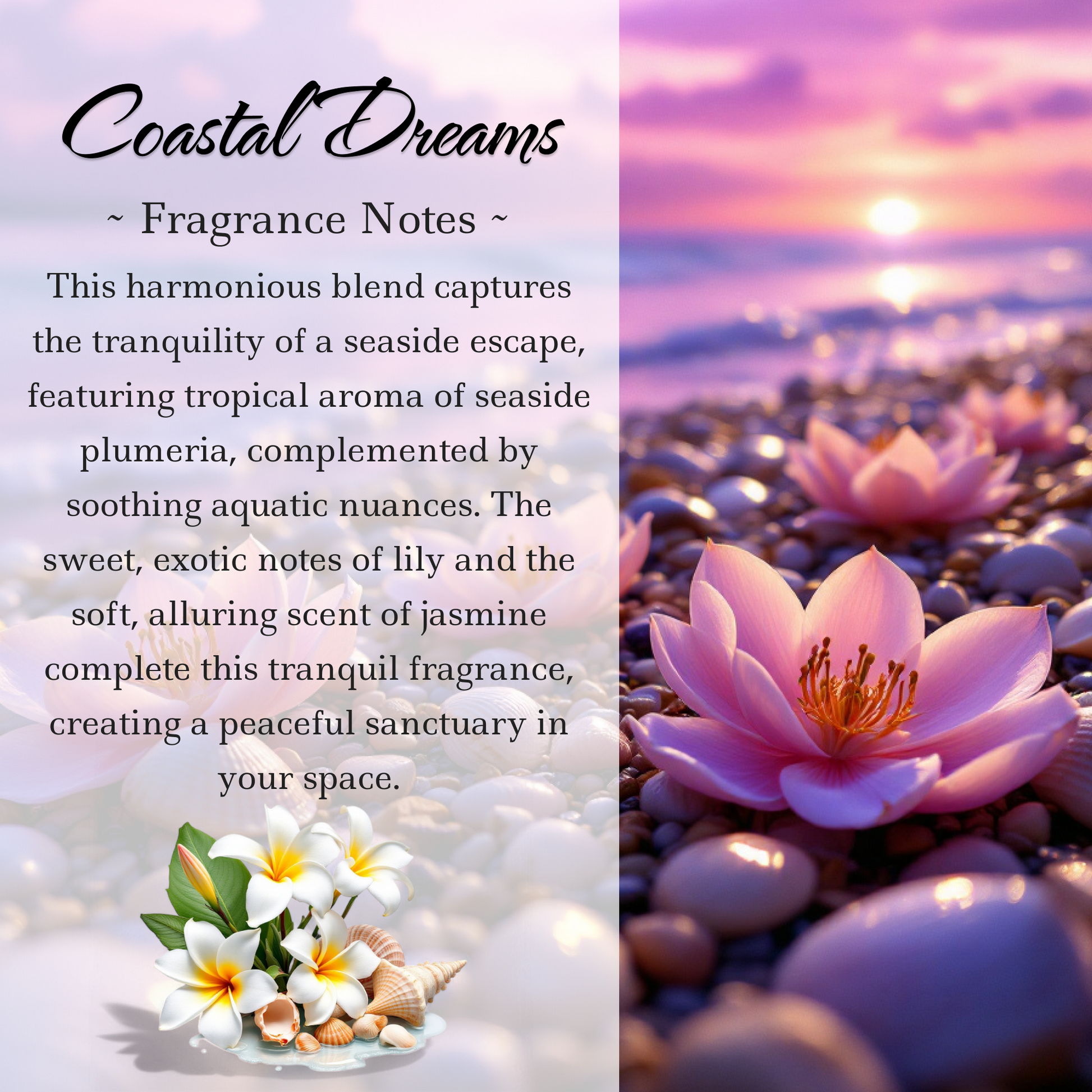 Taurus Zodiac Crystal-Enhanced Reed Oil Diffuser, Coastal Dreams Scent, 100ml