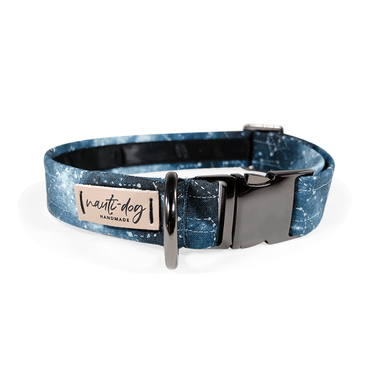 Constellation Astrological Star Chart Buckle & Martingale Dog Collar