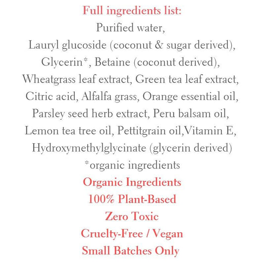 Daily Boost Hydrating Cleanser *Peony Platinum Award Winner - The Peony Haus