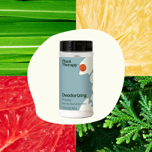 Deodorizing Powder - The Peony Haus