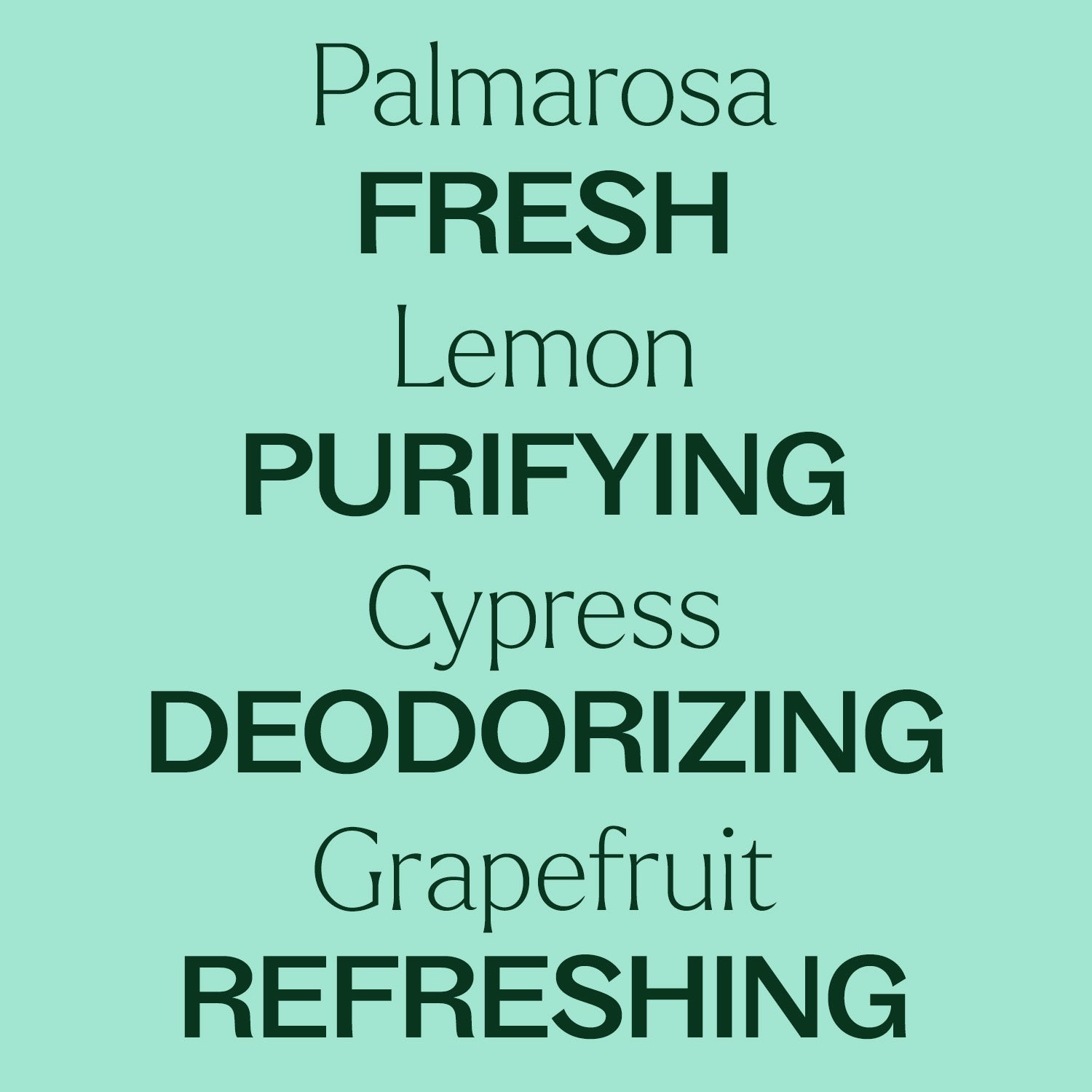 Deodorizing Powder