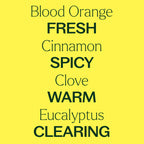 Germ Fighter Carpet Refresher - The Peony Haus