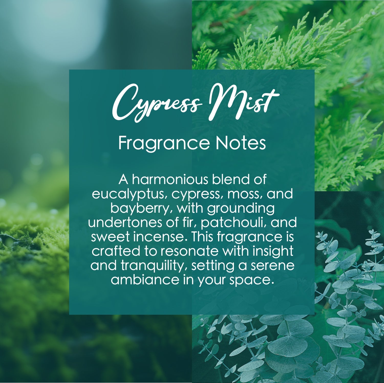 Cypress Mist Crystal-Enhanced Premium Coconut-Soy Wax Melts