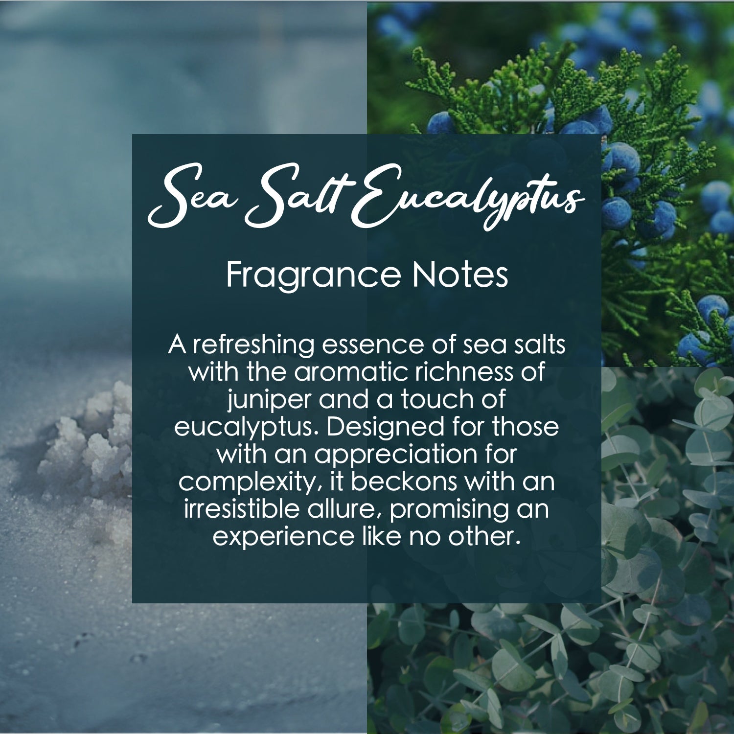 Scorpio Zodiac Crystal-Enhanced Premium Coconut-Soy Wax Melts