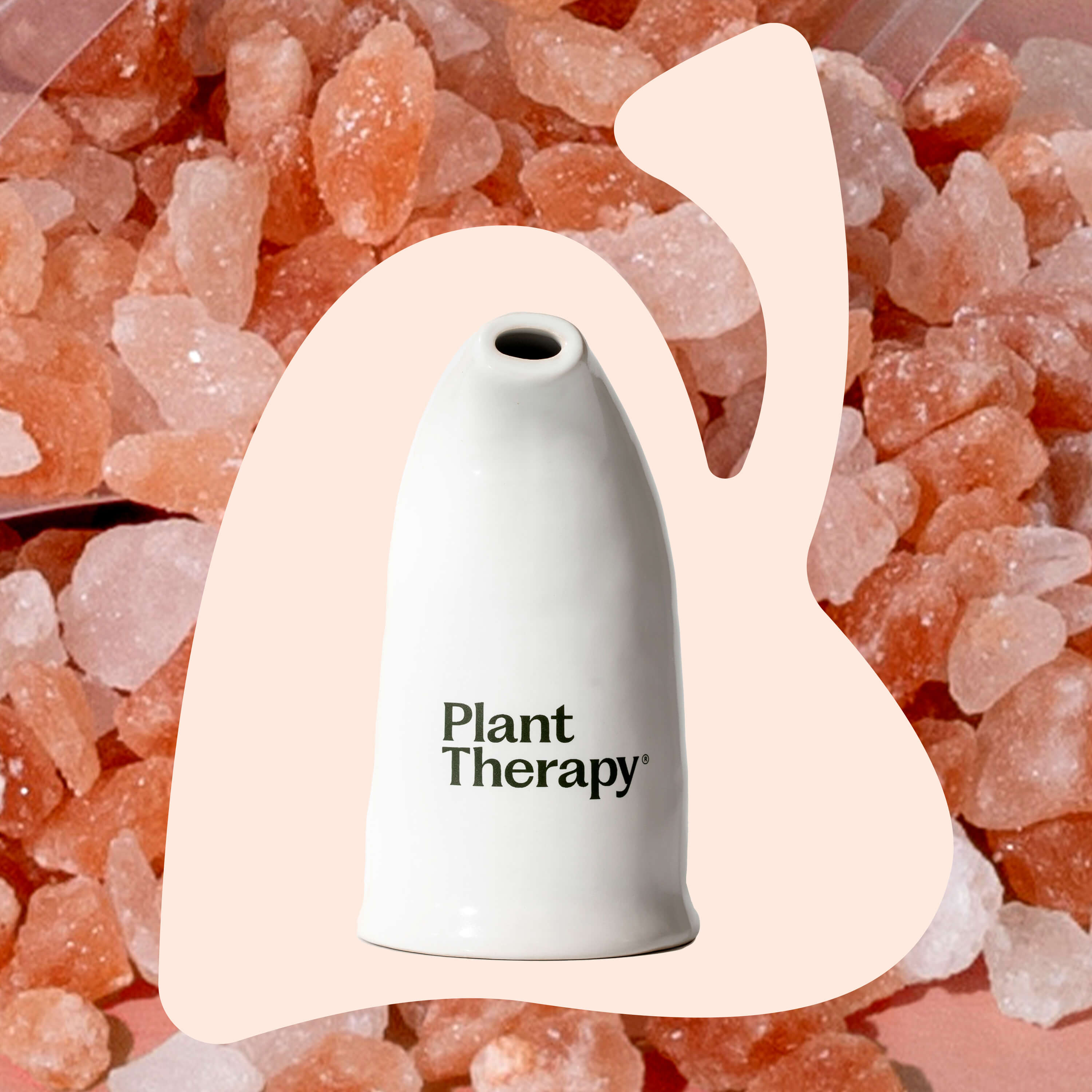 Himalayan Salt Inhaler - The Peony Haus