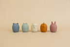 Animal Bath Toy Set