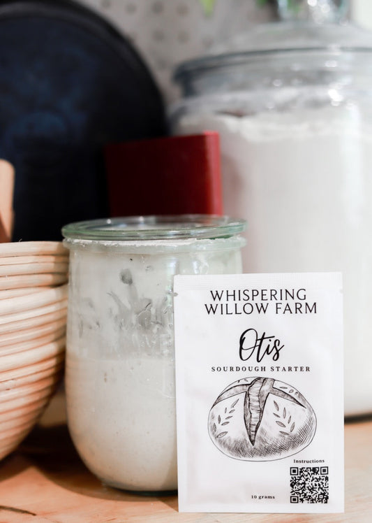 Otis | Sourdough Starter - The Peony Haus
